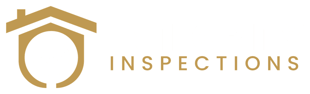 Integrity Inspections